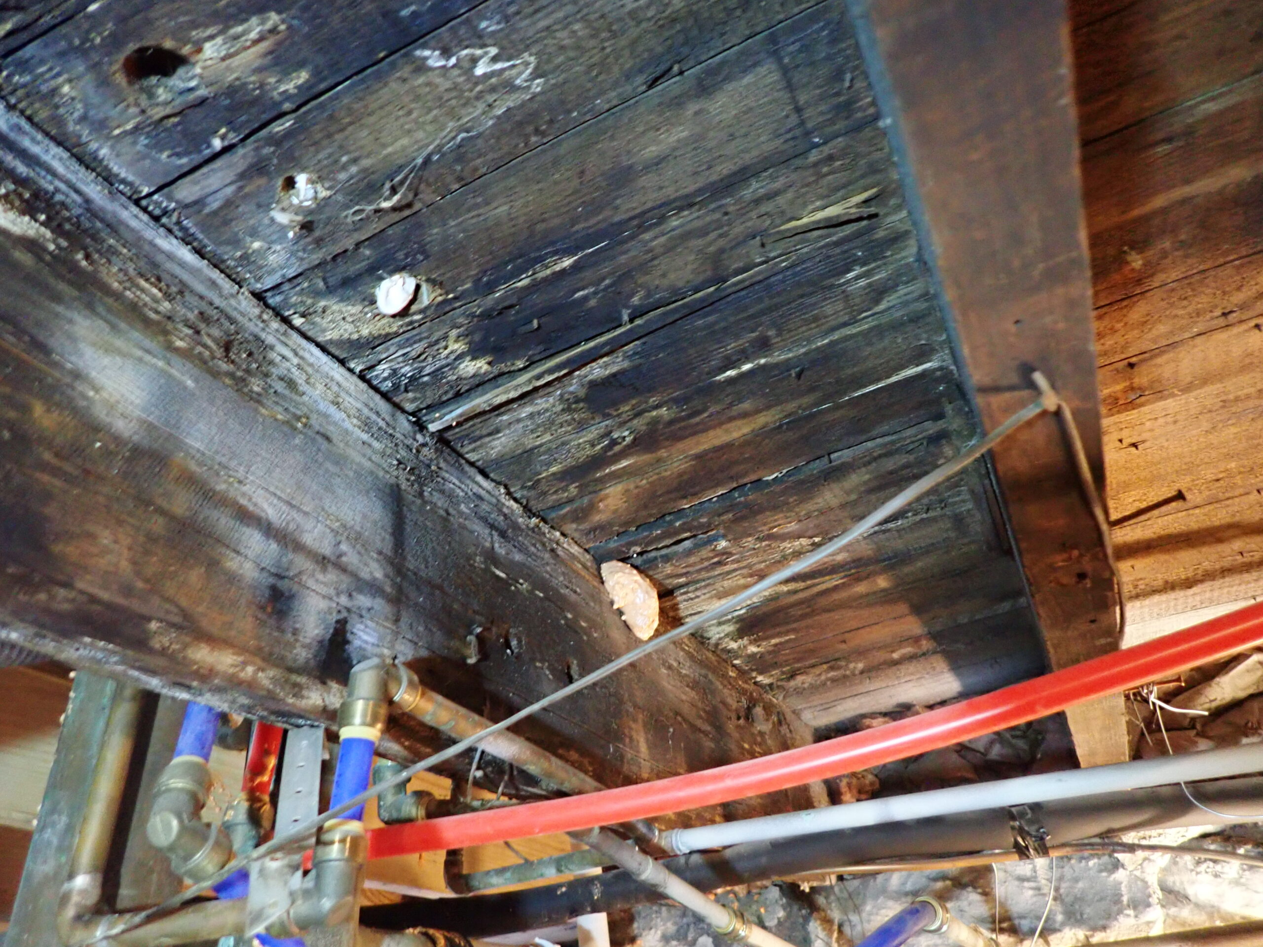 Interior image of a roof with rotted wood panels due to moiture intrusion.